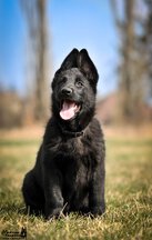 90265832 3075394305818163 6455005215010586624 o