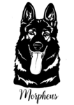 Tenebris Bohemia