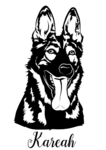 Tenebris Bohemia