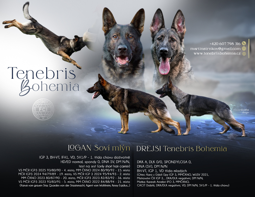 tenebris bohemia2025