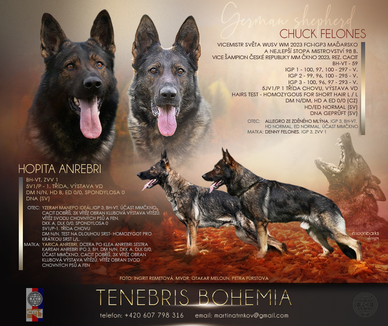tenebris bohemia 2